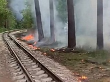 Вредители жгут тополиный пух в челябинском городском бору