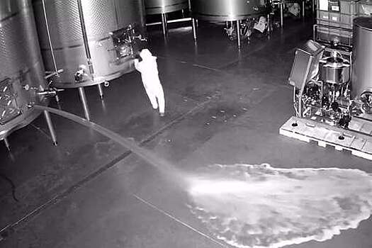 El Pais: в Испании неизвестный опустошил винодельню, вылив 60 тыс. литров вина