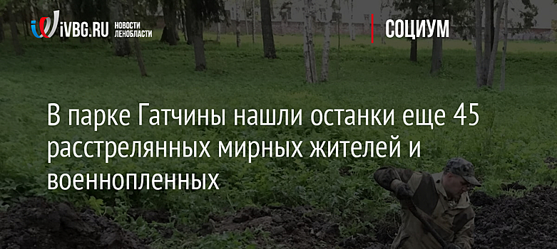 В парке Гатчины нашли останки еще 45 расстрелянных мирных жителей и военнопленных