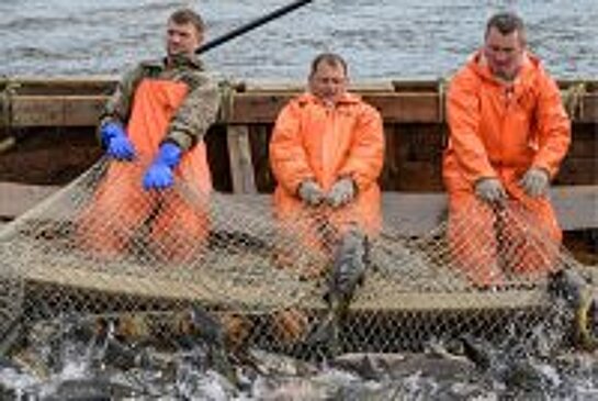 Законы о защите минимального дохода должников могут принять в осеннюю сессию