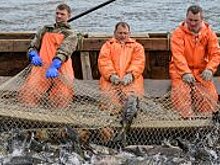 Законы о защите минимального дохода должников могут принять в осеннюю сессию