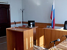 Суд в Красноярске оставил в силе арест экс-замглавы Росприроднадзора Олега Митволя