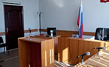 Суд в Красноярске оставил в силе арест экс-замглавы Росприроднадзора Олега Митволя