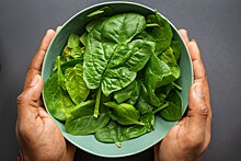 Почему из зеленых листовых овощей шпинат — самый полезный