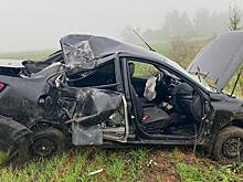Несовершеннолетний на Lada Granta вылетел в кювет в Спасском районе