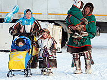 Зачем иностранцы массово отправились на Таймыр