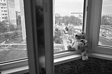 Трехлетний ребенок выпал из окна квартиры на 5 этаже в Кемерове