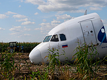 Раскрыт размер выплат за посадку самолета в кукурузном поле