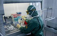 Россияне предположили, кто первый создаст вакцину от COVID-19