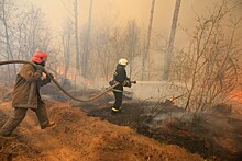 В Кремле переадресовали МЧС вопрос об опасности пожара в Чернобвльской зоне