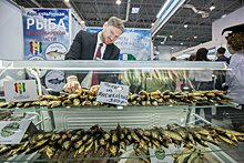 Новосибирские предприниматели расширили производство рыбы ценных пород