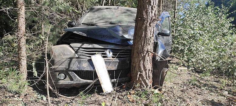 На трассе в Вятскополянском районе водитель «Логана» врезался в дерево