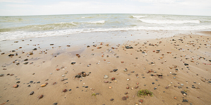 Человеческие следы возрастом 90 тысяч лет нашли на пляже в Марокко