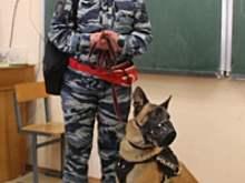 В Петербурге и Ленинградской области стражи магистралей провели марафон профилактических акций, приуроченных к весенним каникулам