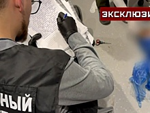 Кости как учебное пособие: кому питерский патологоанатом сбывал «товар»