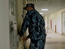 От Мойки до Химози: криминальные итоги года в Петербурге и Ленобласти