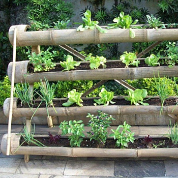 Стоит ли делать вертикальные грядки и какие конструкции для этого предпочесть