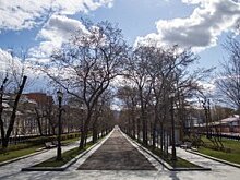 Режим самоизоляции привел к росту трафика и количества звонков
