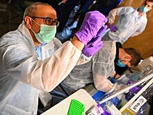 В 2021 году в Татарстане вырос спрос на ученых на 22,2%