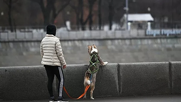 Холод в Москве назвали аномальным