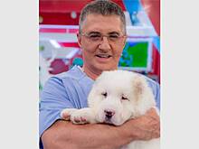 Доктору Мясникову подарили собаку