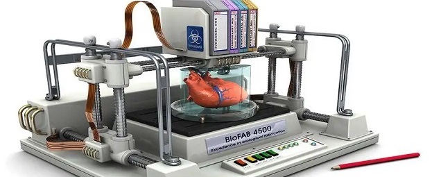Advanced Science: В Австралии разработали способ 3D-печати на органах внутри тела