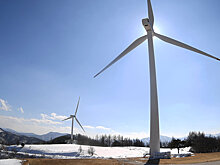 Project Syndicate (США): планета после пандемии