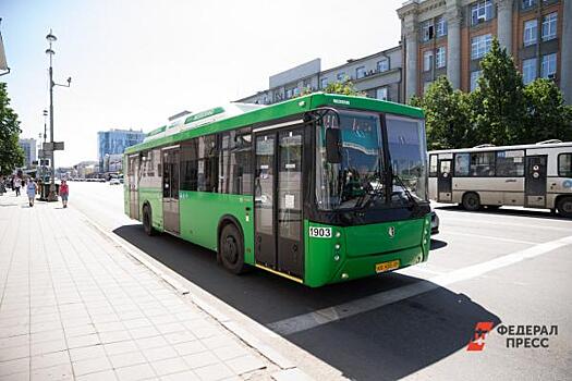 В Петербурге реорганизуют общественный транспорт