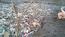 В Барнауле ищут способ очистить реку от тысяч бутылок