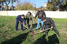 В Анапе в артполку ВДВ заложили фруктовый сад