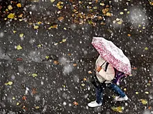 Мокрый снег в Москве ожидается на следующей неделе