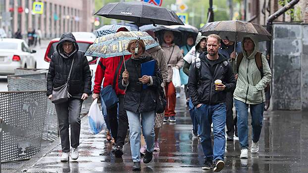 Климатолог опроверг мнение об исчезновении весны и осени в Москве