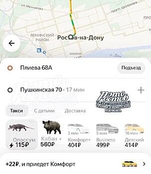 На &laquo;кабане&raquo; быстрее, чем на &laquo;бизнесе&raquo;: ростовчане обсуждают &laquo;новые тарифы&raquo; на такси
