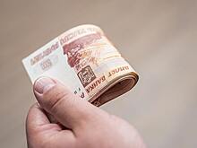 В России вырастет штраф за игнорирование требований полицейского