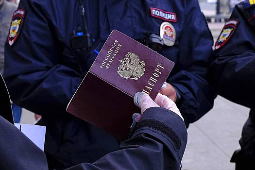 Еще десять человек лишили российского гражданства за наркотические преступления
