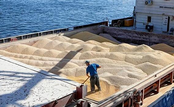 Киев предложил убрать Россию с мирового рынка зерна картельным способом