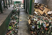 Около 40 млн тонн московского мусора можно пускать на переработку ежегодно