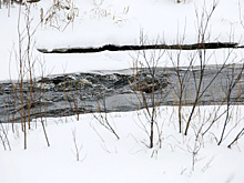 Власти Пуровского района утвердили план противопаводковых мероприятий