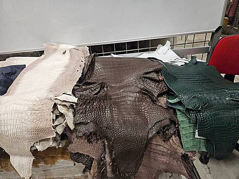 Таможенники обнаружили 55 шкур крокодилов в багаже пассажира в российском аэропорту