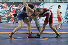 Открытый городской турнир по греко-римской борьбе пройдет в Детско-юношеской спортивной школе Щербинки