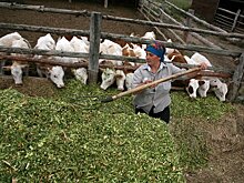 На чем держится липецкая кооперация