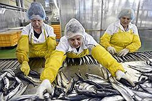 Рыба глядит в Оби