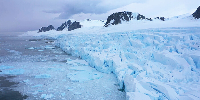 По праву льда: экспедиция в Антарктиду