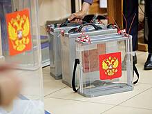 Россиян позвали на выборы плакатом на разрушенном немецком здании