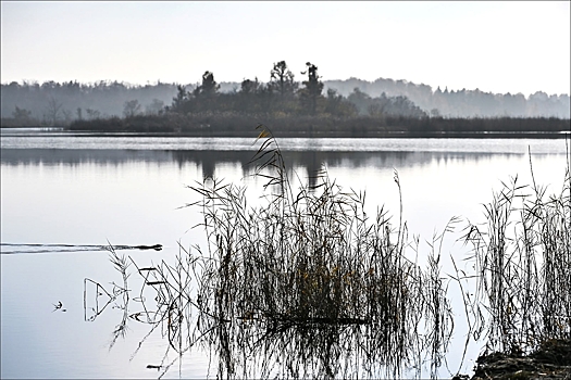 В Омске потеплеет до +11 градусов