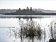 В Омске потеплеет до +11 градусов