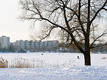 Двое подростков в Петербурге провалились под лед и погибли
