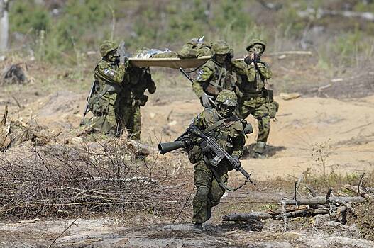 В Эстонии пройдет «Яростный волк» НАТО