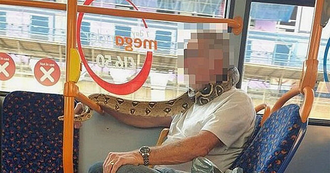 Мужчина в автобусе завернулся в змею вместо маски