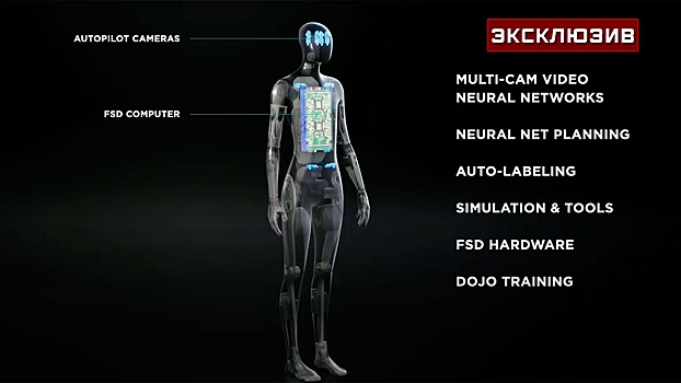Социальные и боевые: робототехник оценил перспективы андроидов в жизни человечества